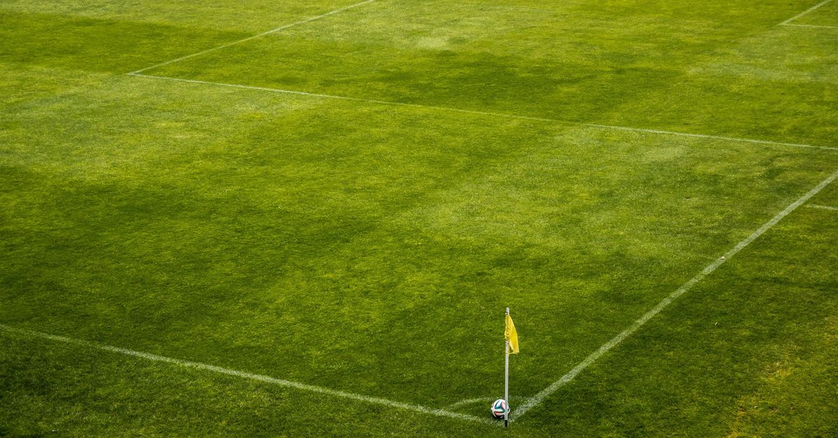 Coupe du Monde : Ce stade qui sera démonté de toutes pièces après la compétition… soccer stadium football pitch